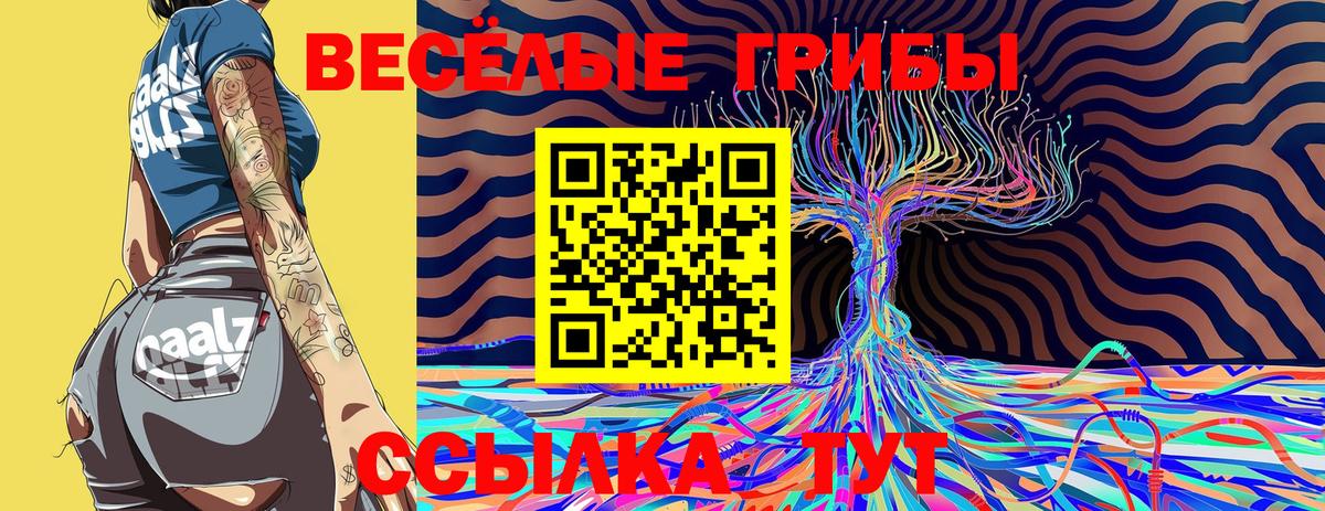 Псилоцибиновые грибы Magic Shrooms Бор