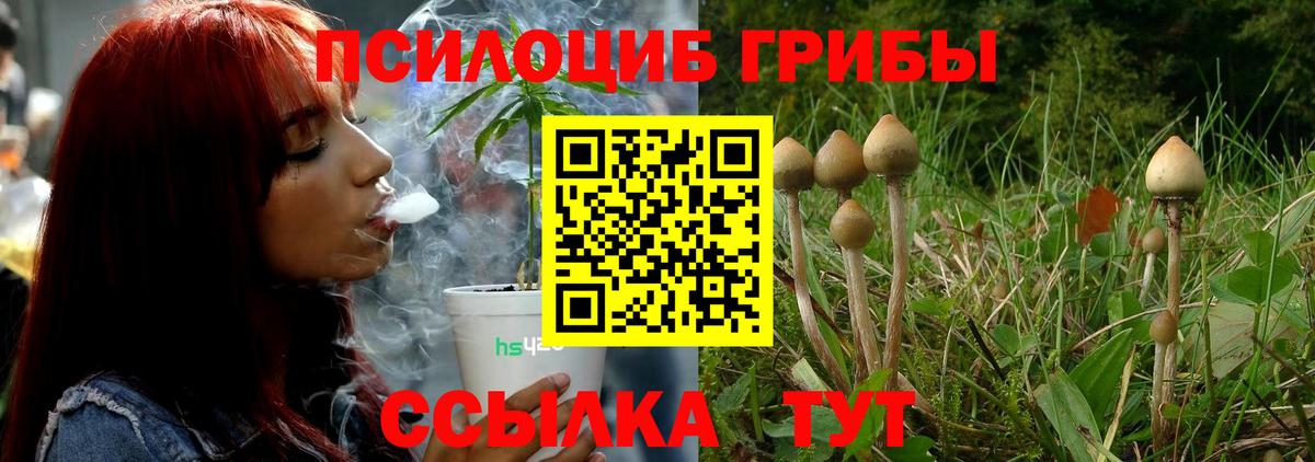 Бор  Псилоцибиновые грибы мухоморы  Вход с VPN 